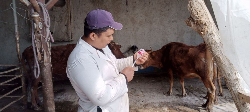 Veterinariya xizmati
