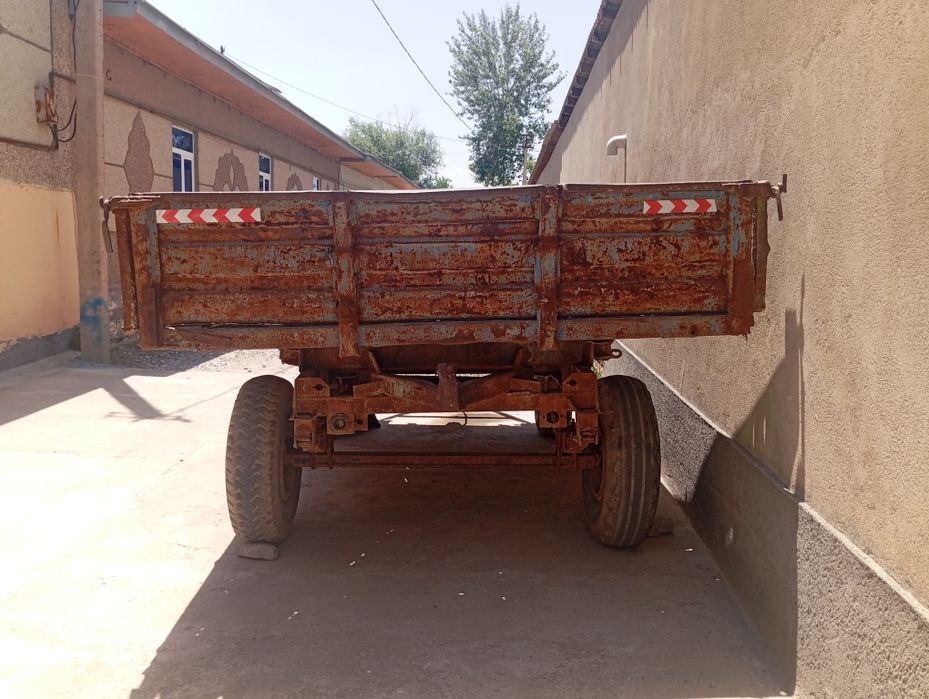 Тличка холати зур