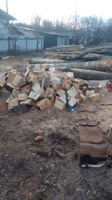 Lemn de foc esență tare sau diferite esențe cluj