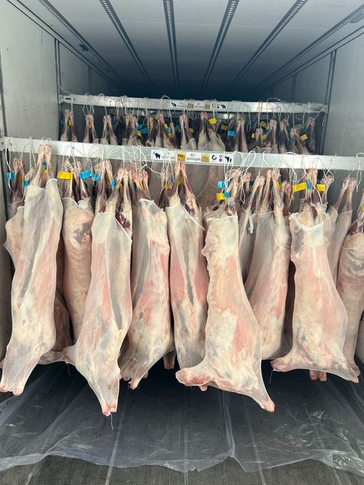 Рефрижератор хизмати услуги рефрижератор Перевозка грузов фура исузу