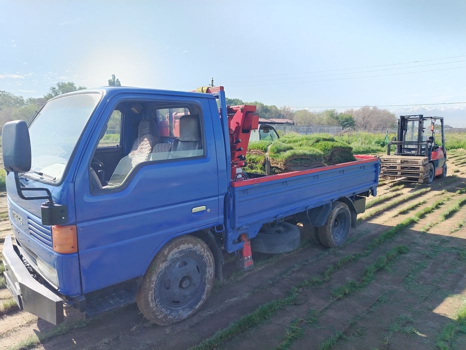 Услуги манипулятора!