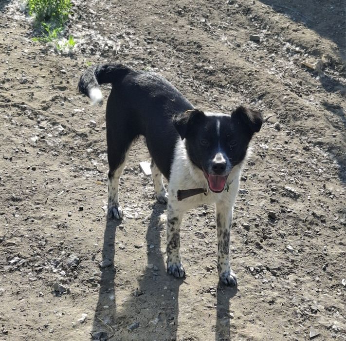 Маленькая очаровашка и её мама