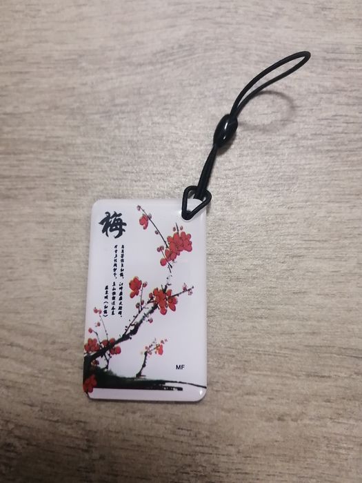 Ключ домофонный. Брелок.