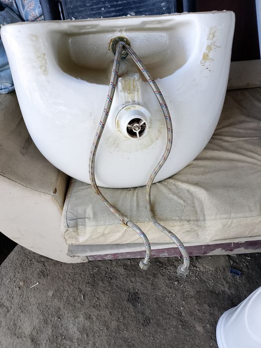 Раковина тюльпан