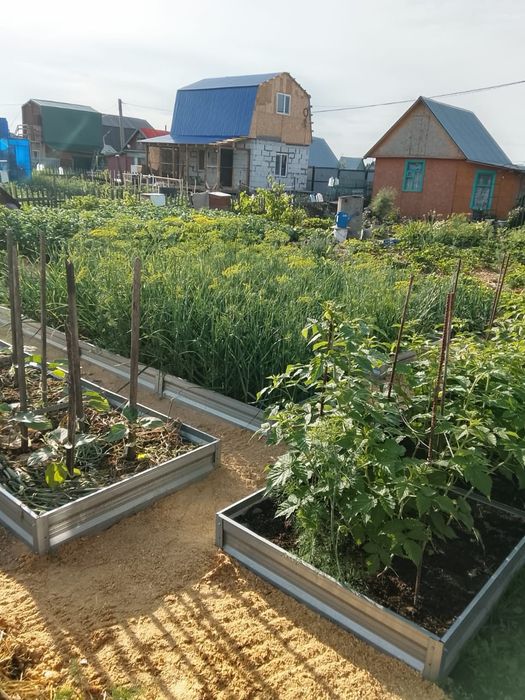 Продам дачу в Новопавловке