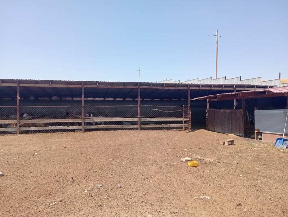 Фазенда 1 гектар