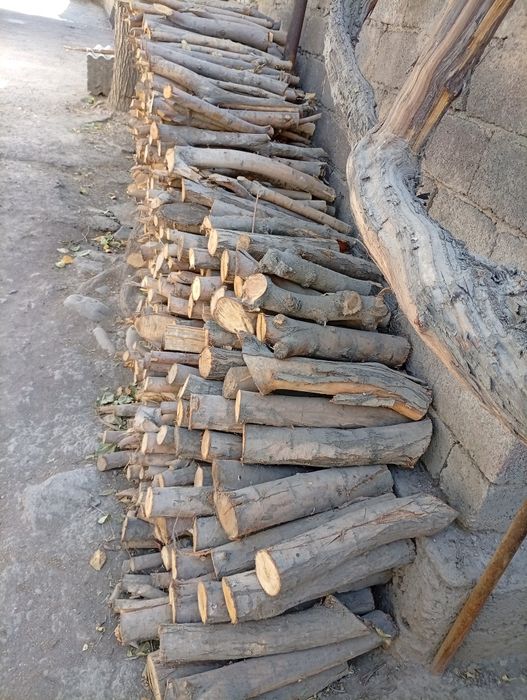 Ўтинлар сотилади ҳар ҳил.