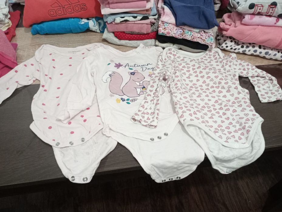 Vand lot primavara 1-2 ani