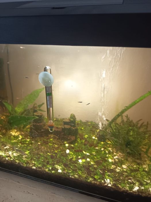 Acvariu capacitate 54 l