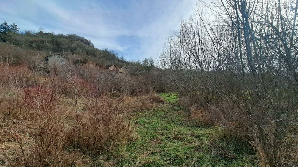 Продава се Парцел в Севлиево - 7885 кв.м за 8 €/кв.м - Снимка #7