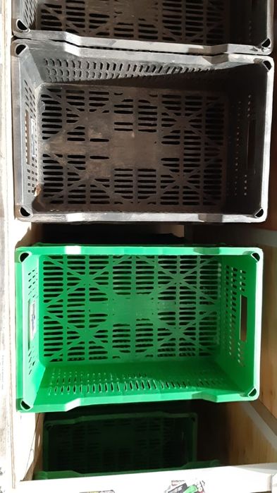 Пластмасовые ящики от мандаринов