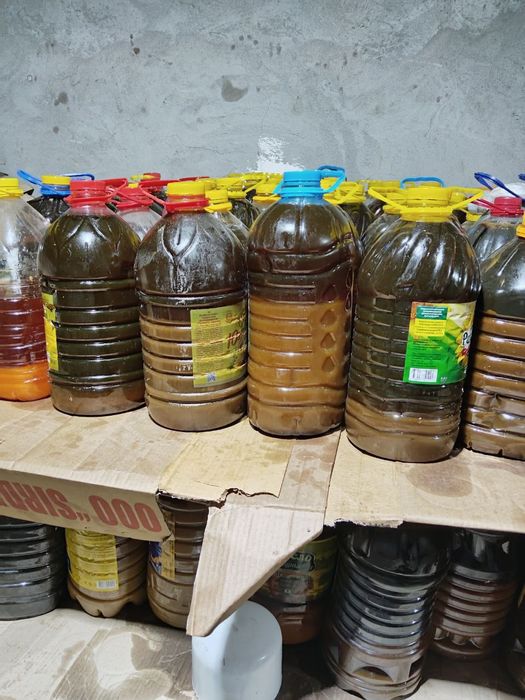 yoĝlar Fri baliq yoĝlari