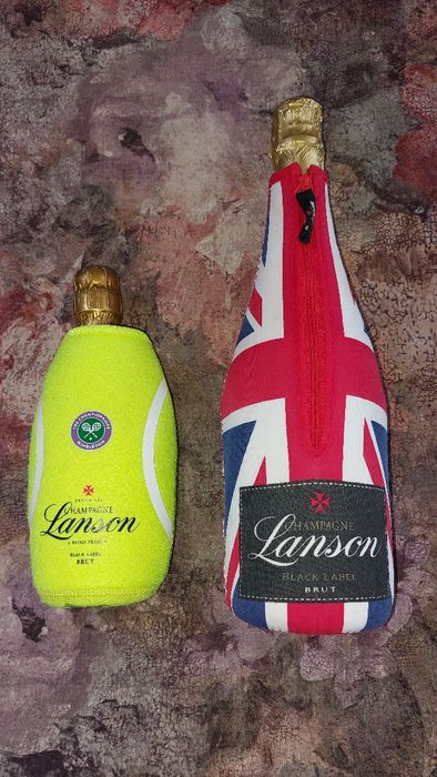 Охладители за бутилки шампанско или вино