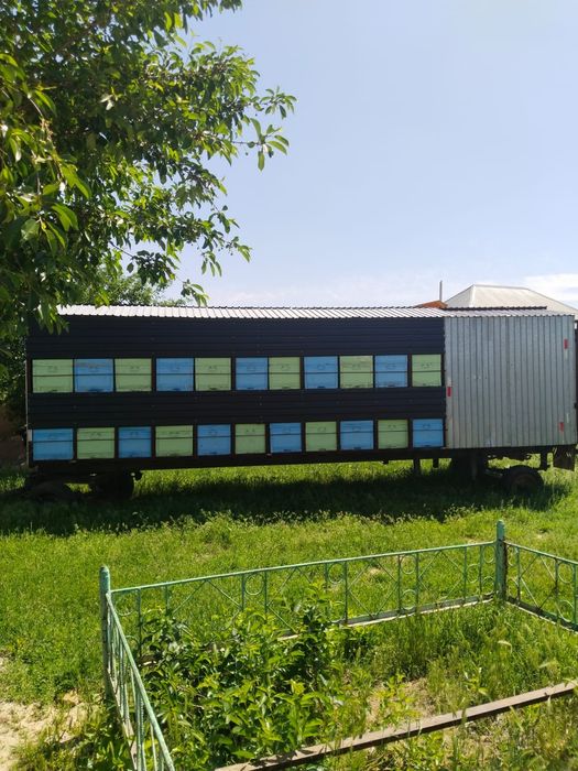 Пчело прицеп на 44 улика