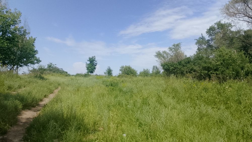 Продам земля поселок белбулак