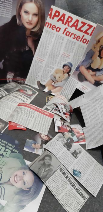 Colectie de articole cu Dana Mladin