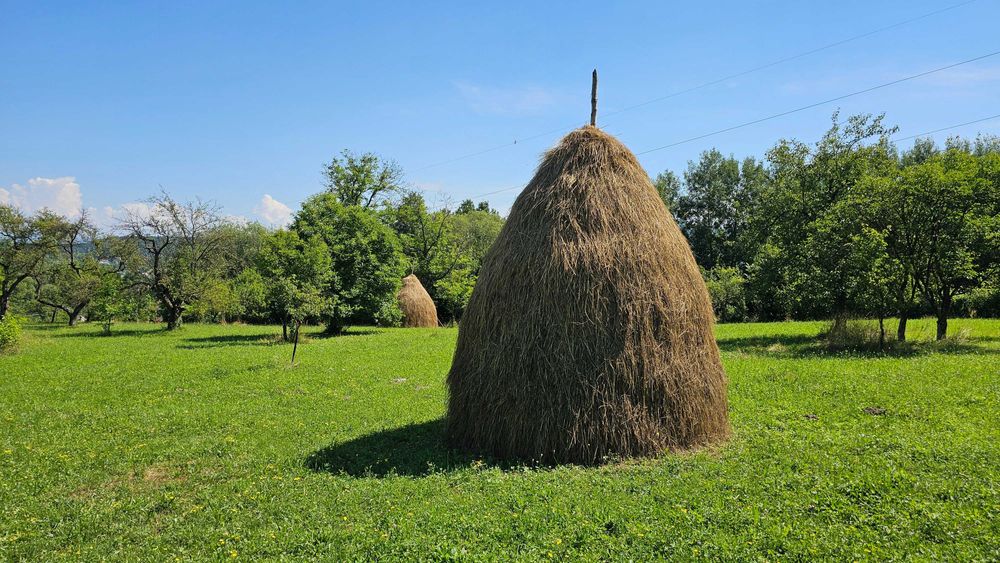 Vand fan, din șopru și 5 clăi.