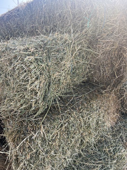 Baloti lucerna (transport contra cost motorina)