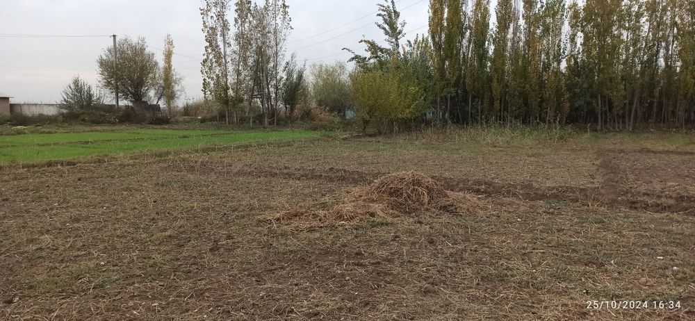 Boyovutda uy sotiladi