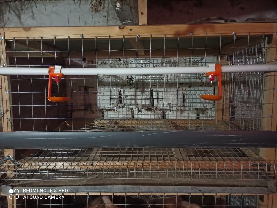 Tovuq nesushkaga qafas