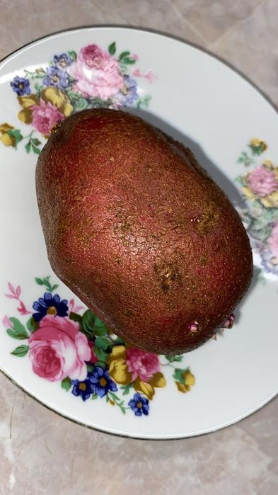 Продам Картофель