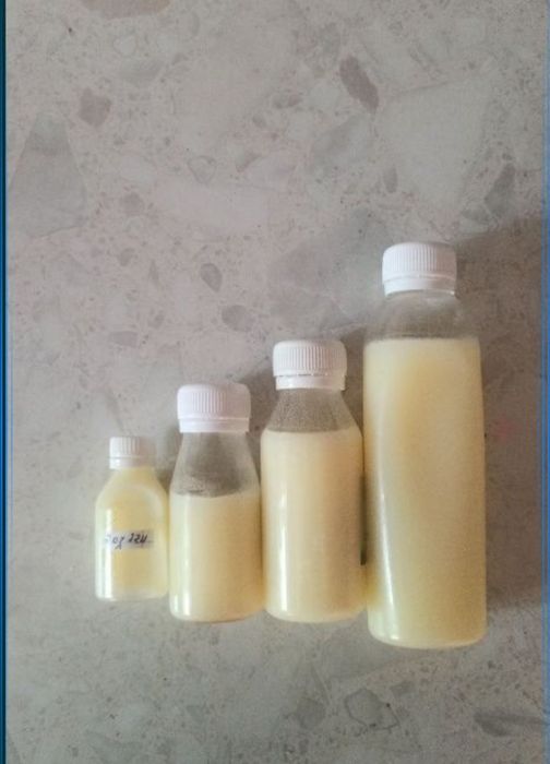 Goz yogi Borsiq yogi