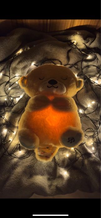 Дышащая Выдра Алматы