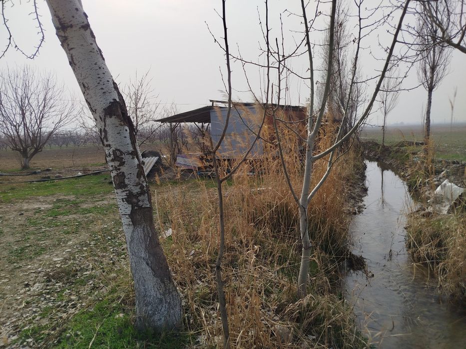 Бог сотилади Фаргона Кува йулида