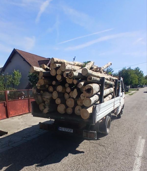 Lemn de foc FAG !! Cele mai bune oferte !!
