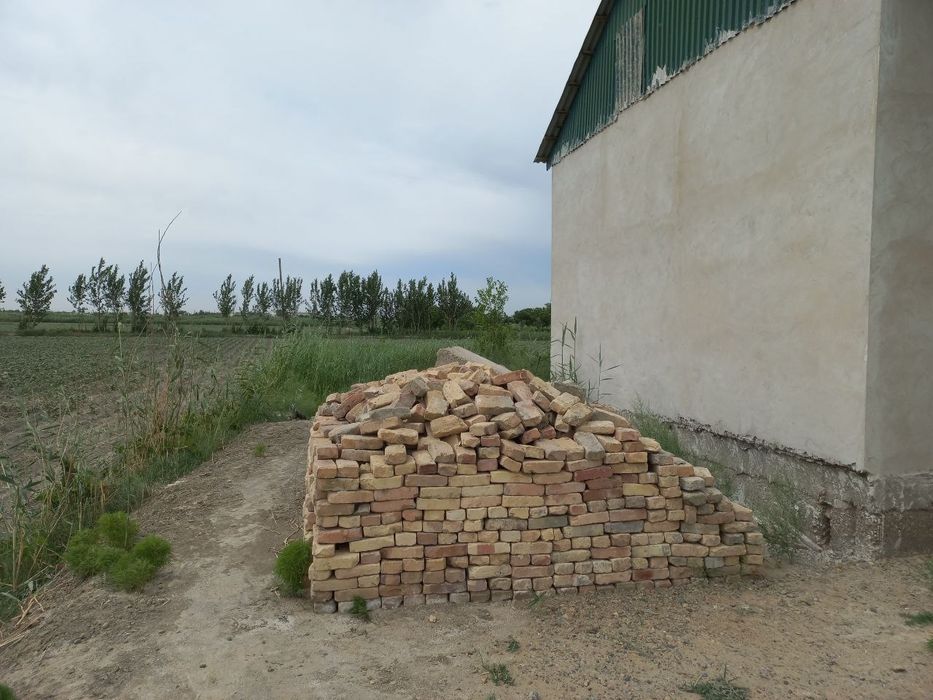 Romitan tumanida joylashgan 15 sotixli hovli tezda sotiladi.