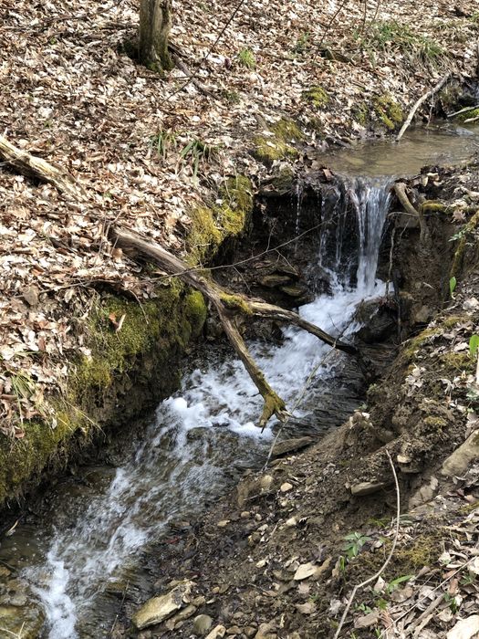 Продава се Къща в Ловеч, Център - 120 кв.м за 510 €/кв.м - Снимка #14