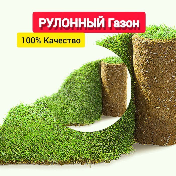 Рулонный газон Tabiy gazon ekish