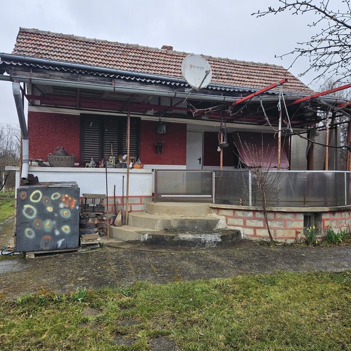 ВИЛЕН ИМОТ Врачански лозя,  м. Янкин връх