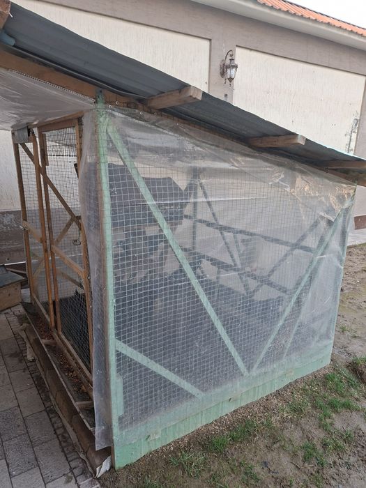 Срочно! Кора шахзода товуклар ва катак