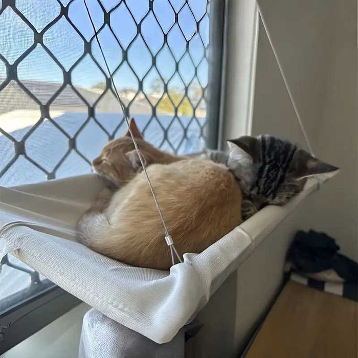 Хамак за котки с монтаж на прозорци, подходящ за до 2 котки до 20кг