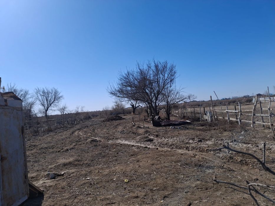 Жер сабалақ сатылады