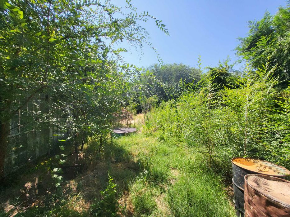 Дача у ручья с новым домом и хозпостройками.