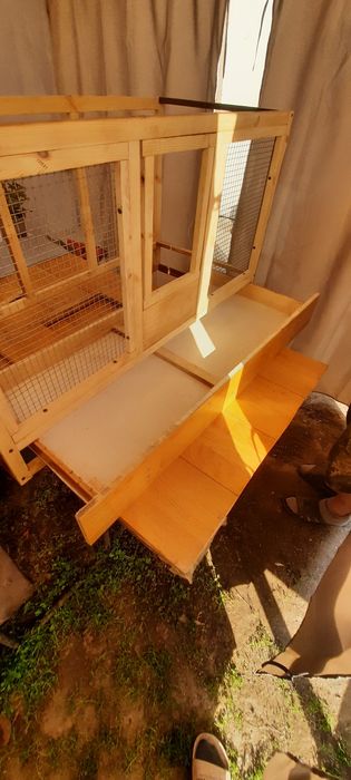 Брудер для цыплят