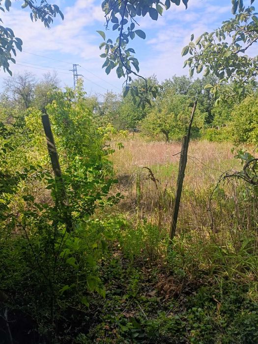 555-Продава се парцел в местността "Стражецки Лозя"!