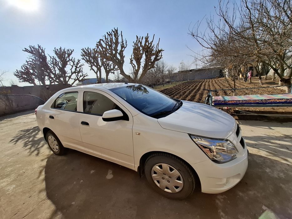 Coblit sotiladi zaril