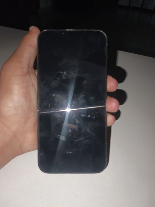 Iphone 13 por max