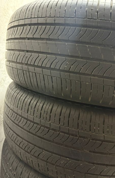 Летняя резина nexen