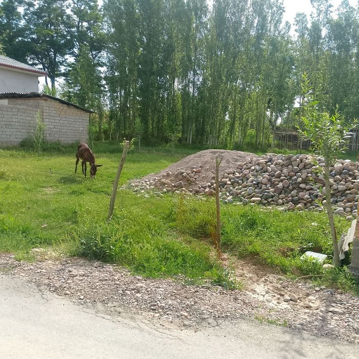 3 сутик кадстрли ер сотилади