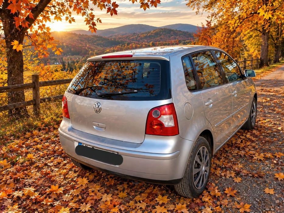 VOLKSWAGEN Polo 2002 — imagine 4