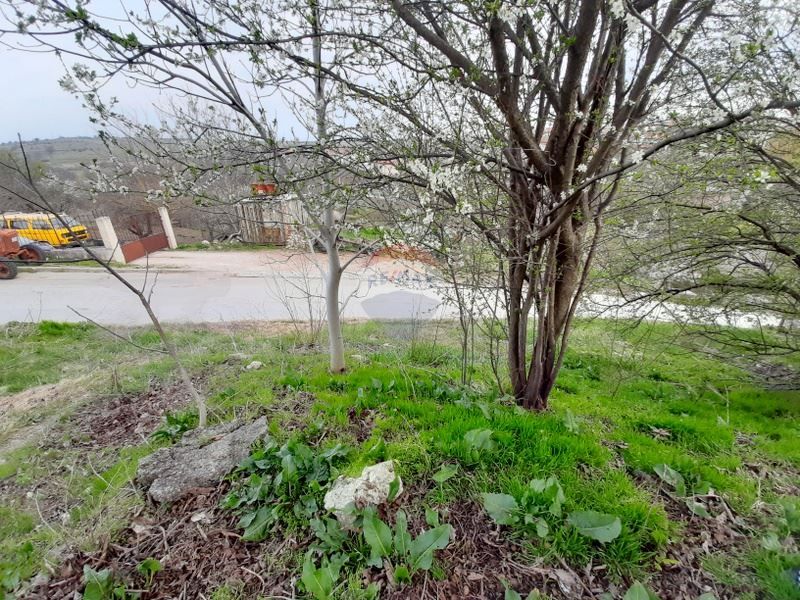 Продава се Парцел в с. Кичево, Област Варна - 1211 кв.м за 18 €/кв.м - Снимка #5