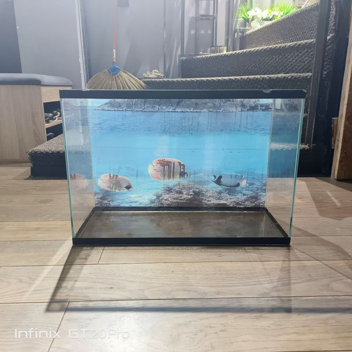 Продам аквариум не меньше 5500