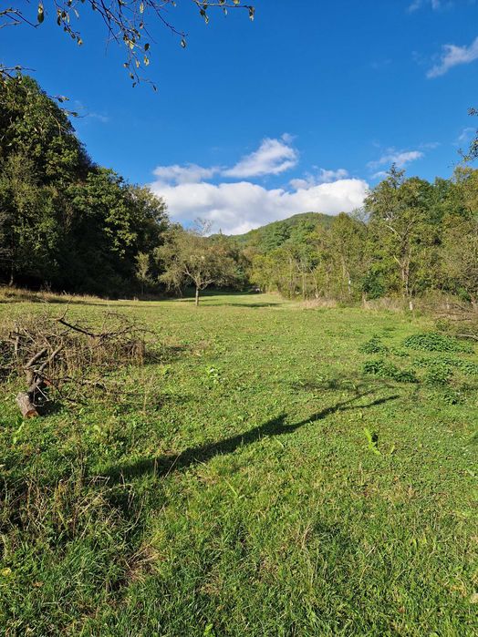 Teren intravilan de vanzare