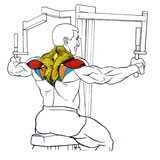 Impulse PL9022
Баттерфляй/Задняя дельта Batterfley trenajor