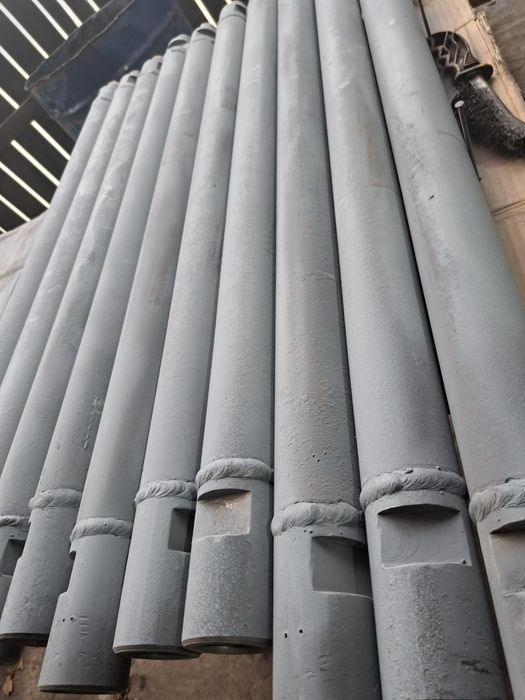 Prajini mufe subtrasversari L 1M ,2M,3M