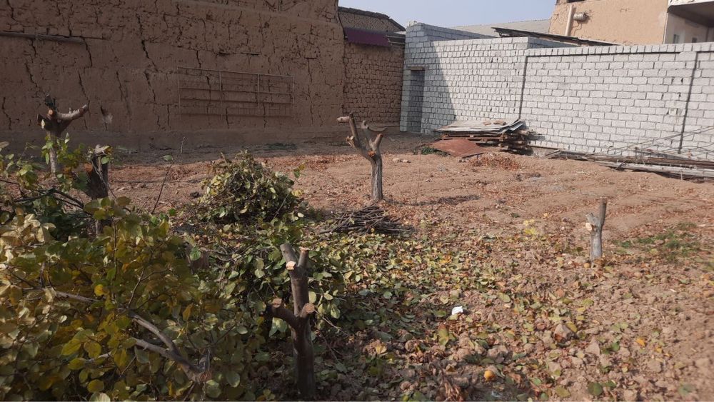 Срочно продается земля